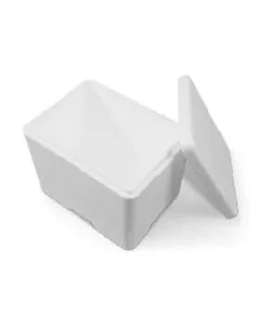 Coolsafe-Box groß 400x300x330 mm - 24 l. 56 Sets
