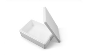 Coolsafe Box maxi 595x398x165 mm - 25,60 l. 44 Sets