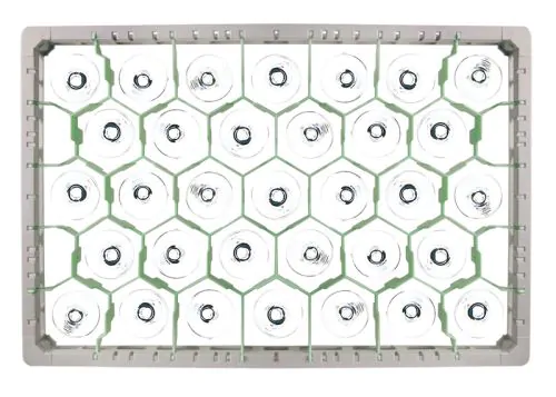 Dish baskets for Ø77 mm glass - 33 compartments Dish baskets for Ø77 mm glass - 33 compartments