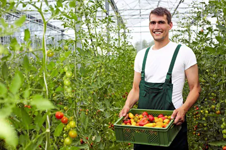 Horticulture and agriculture Horticulture and agriculture