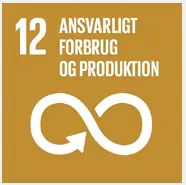 Global goal #12