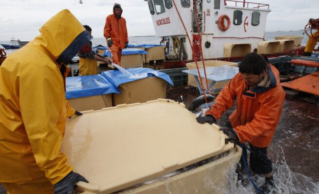 rotogal med plastkar