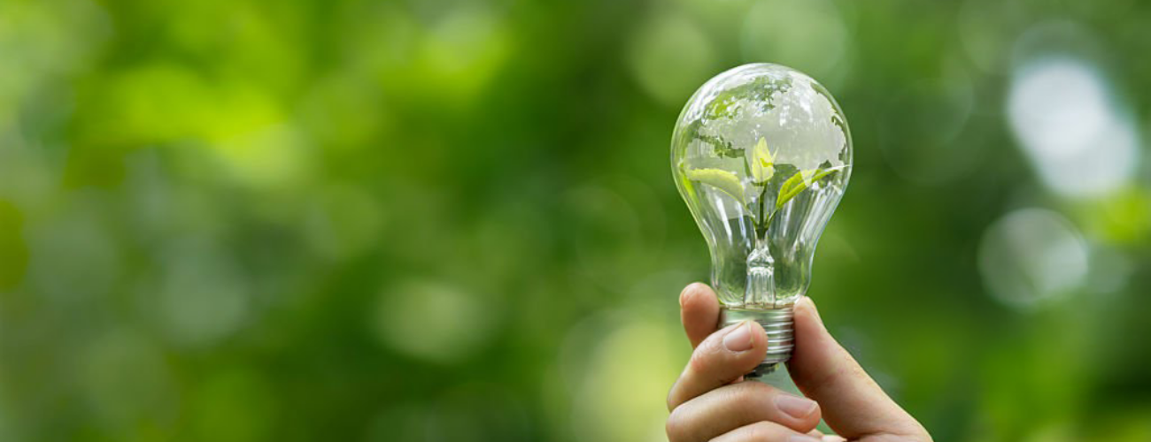 ny-esg-rapport